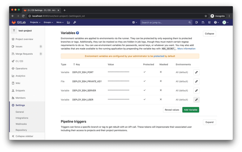 Variables configured in Gitlab CI